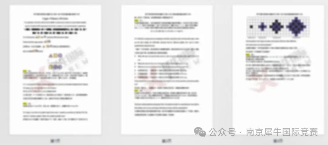 澳洲AMC数学竞赛