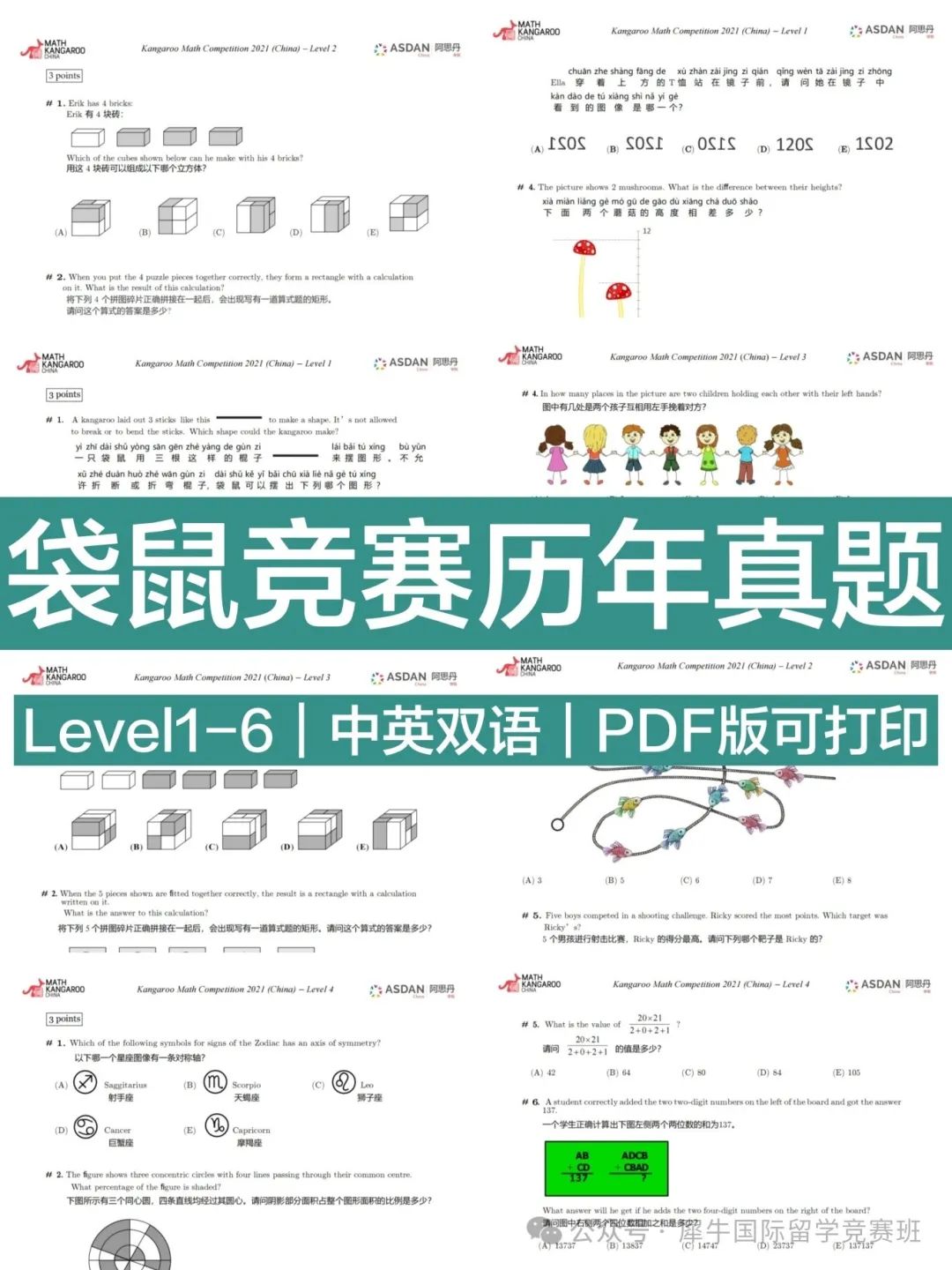 图袋鼠数学竞赛