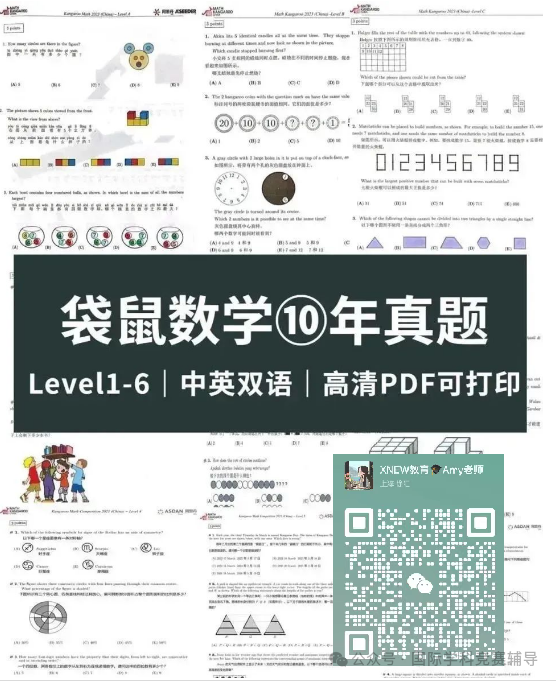 袋鼠数学竞赛