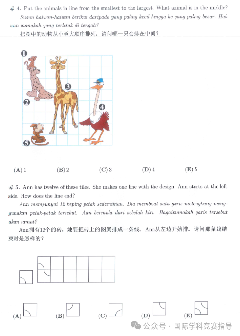 袋鼠数学竞赛