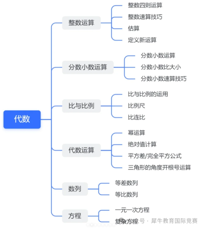 AMC8竞赛