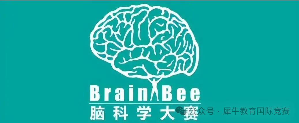 Brainbee脑科学大赛