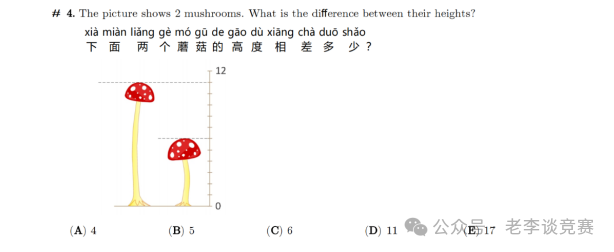 袋鼠数学竞赛