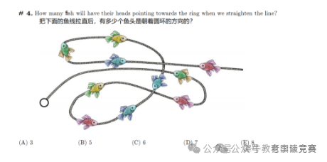 袋鼠数学竞赛