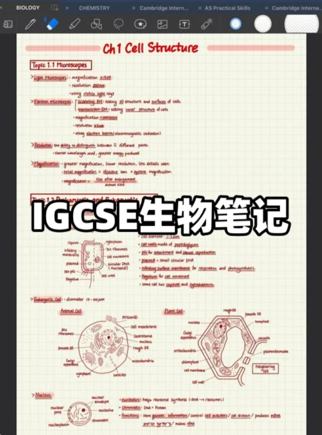 IGCSE课程