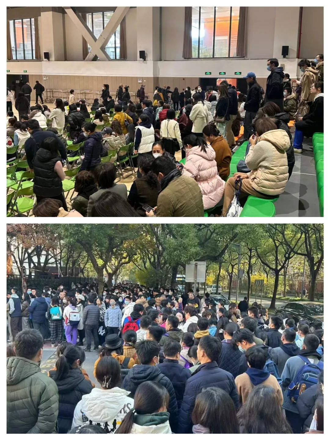 国际学校