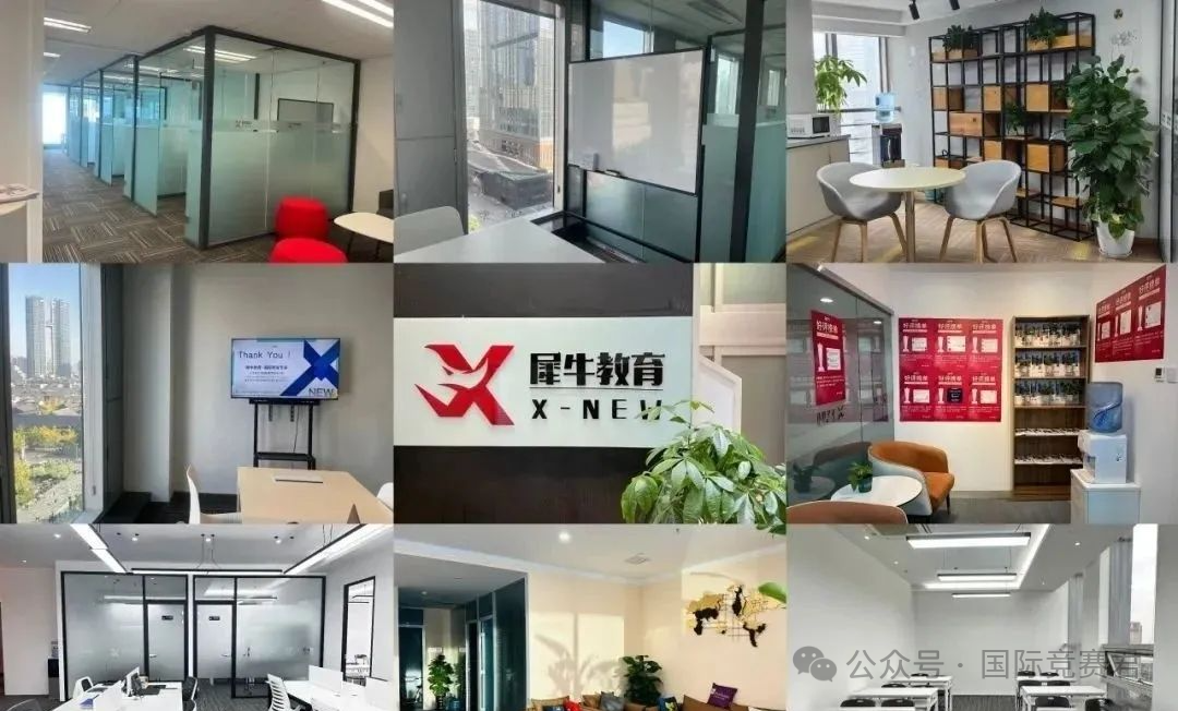 袋鼠数学竞赛
