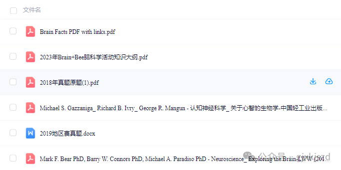 BrainBee脑科学竞赛
