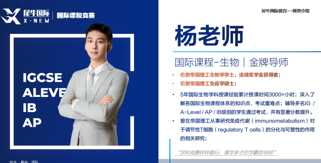IGCSE课程