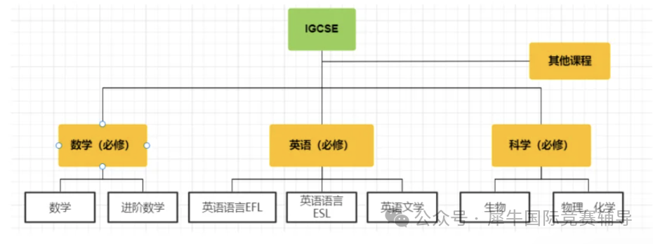 igcse.png