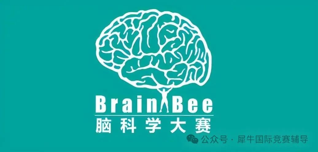 脑科学