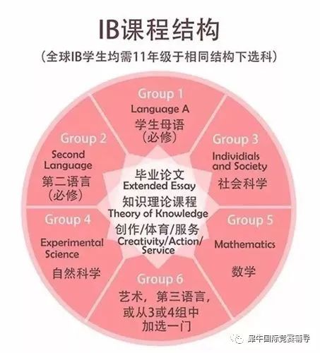 IB课程
