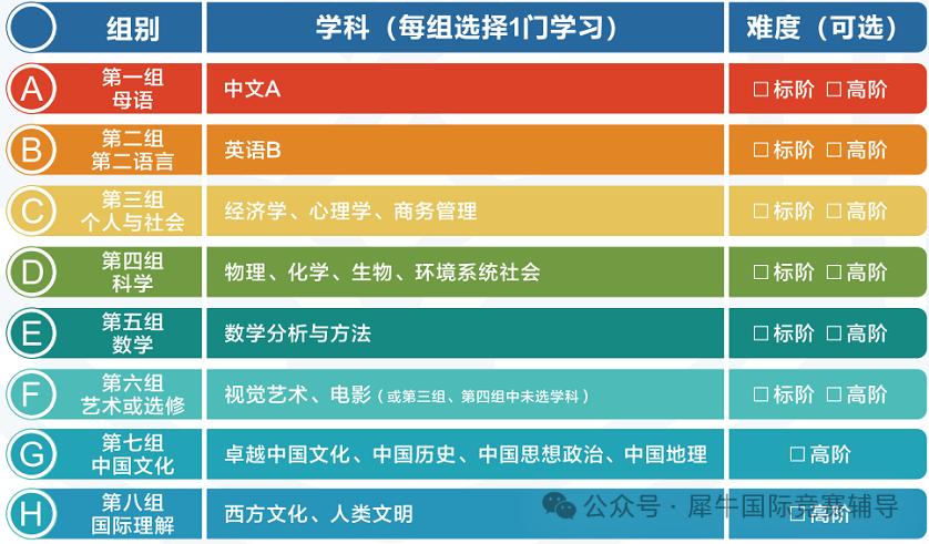 IB课程 