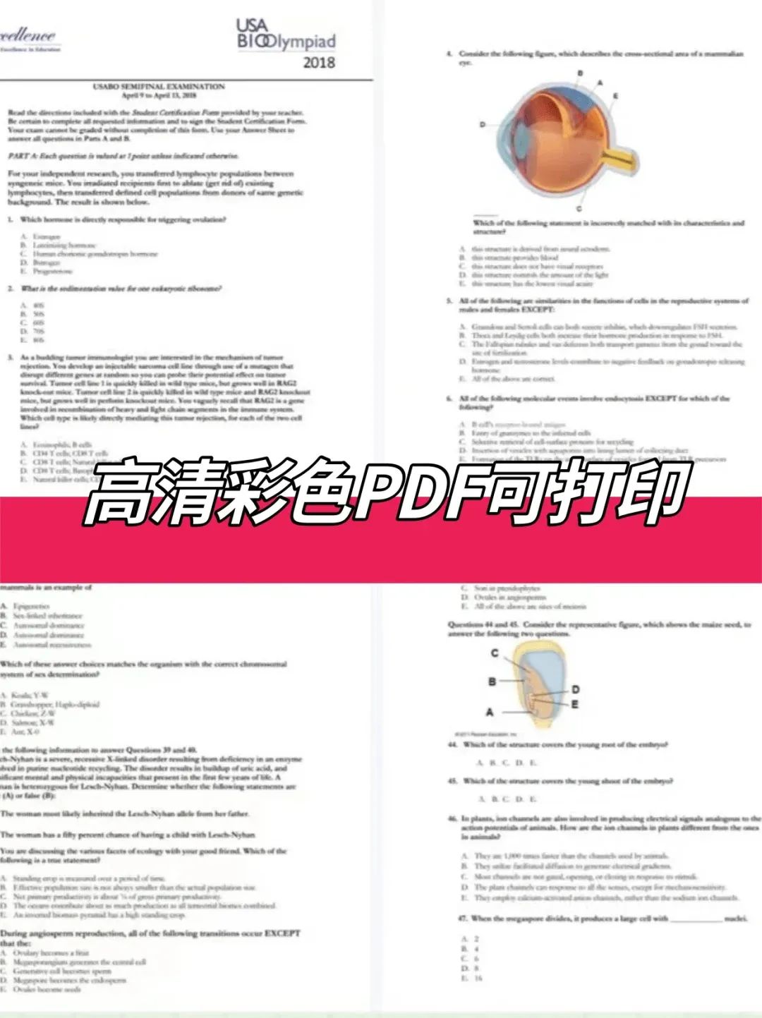 生物竞赛界双翘楚!USABO+BBO近30套真题放送_4_Andy学长竞赛留学_来自小红书网页版.jpg