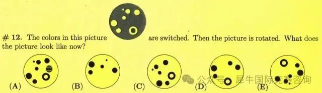 袋鼠