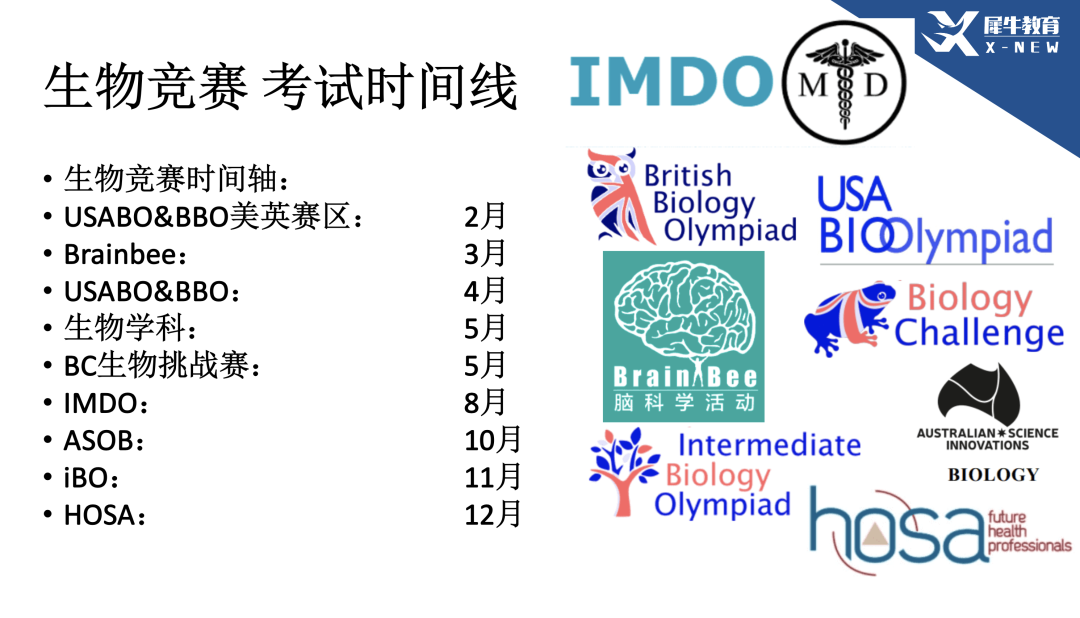 Brain Bee/USABO/BBO生物竞赛培训课程