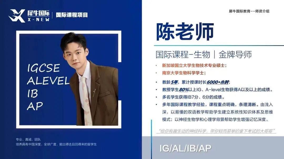 IB课程