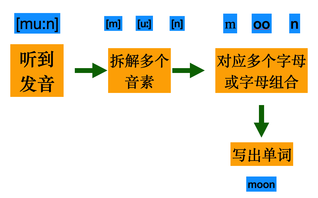 http://www.x-new.cn/