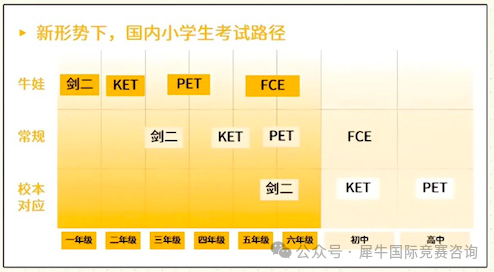 http://www.x-new.cn/#
