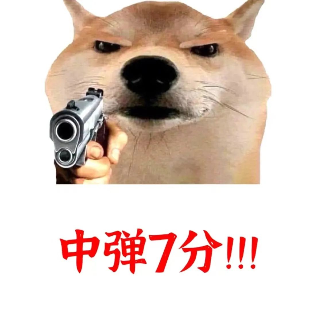 IB