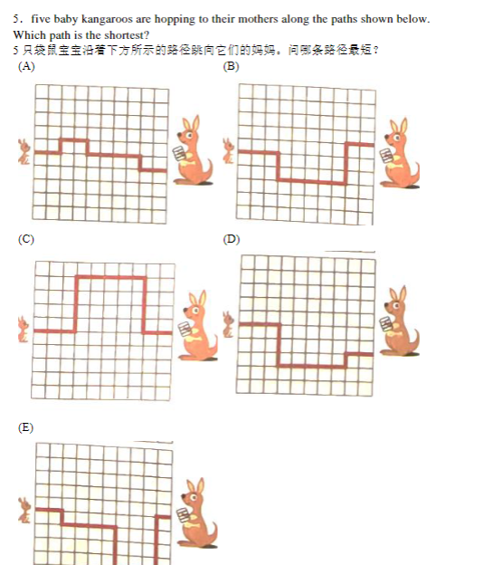 袋鼠数学竞赛