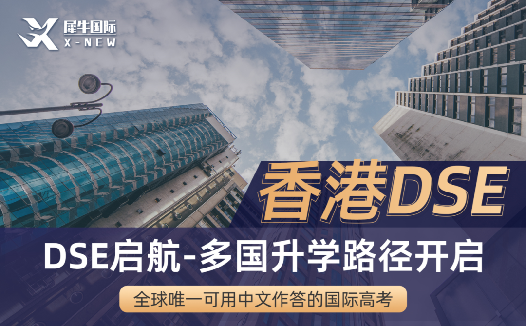 DSE课程