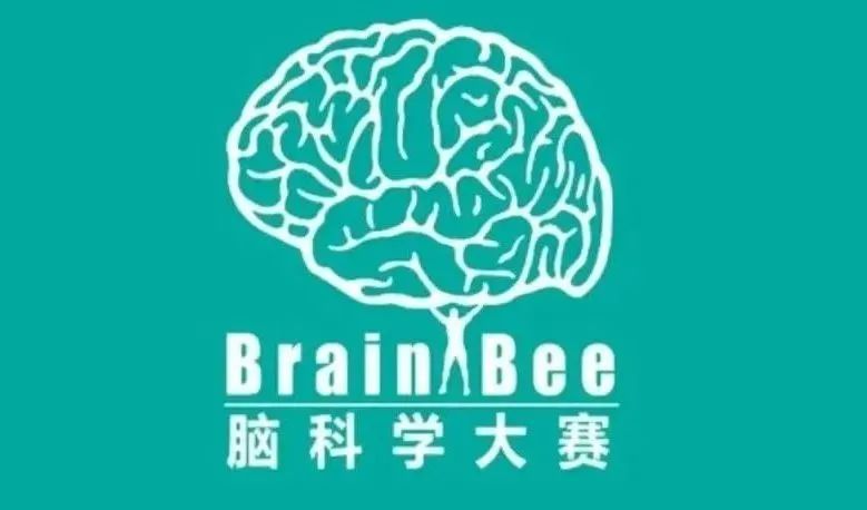 脑科学