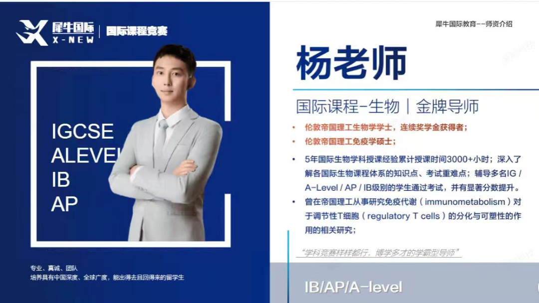 IB课程