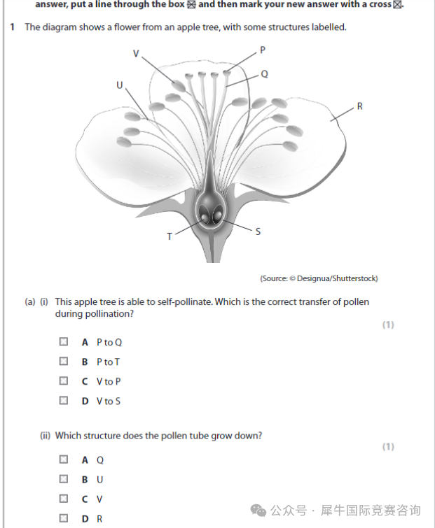 http://www.x-new.cn/zhuanti/igcse/