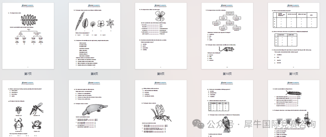 http://www.x-new.cn/zhuanti/igcse/