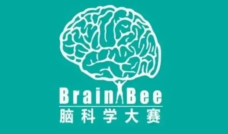 Brain Bee