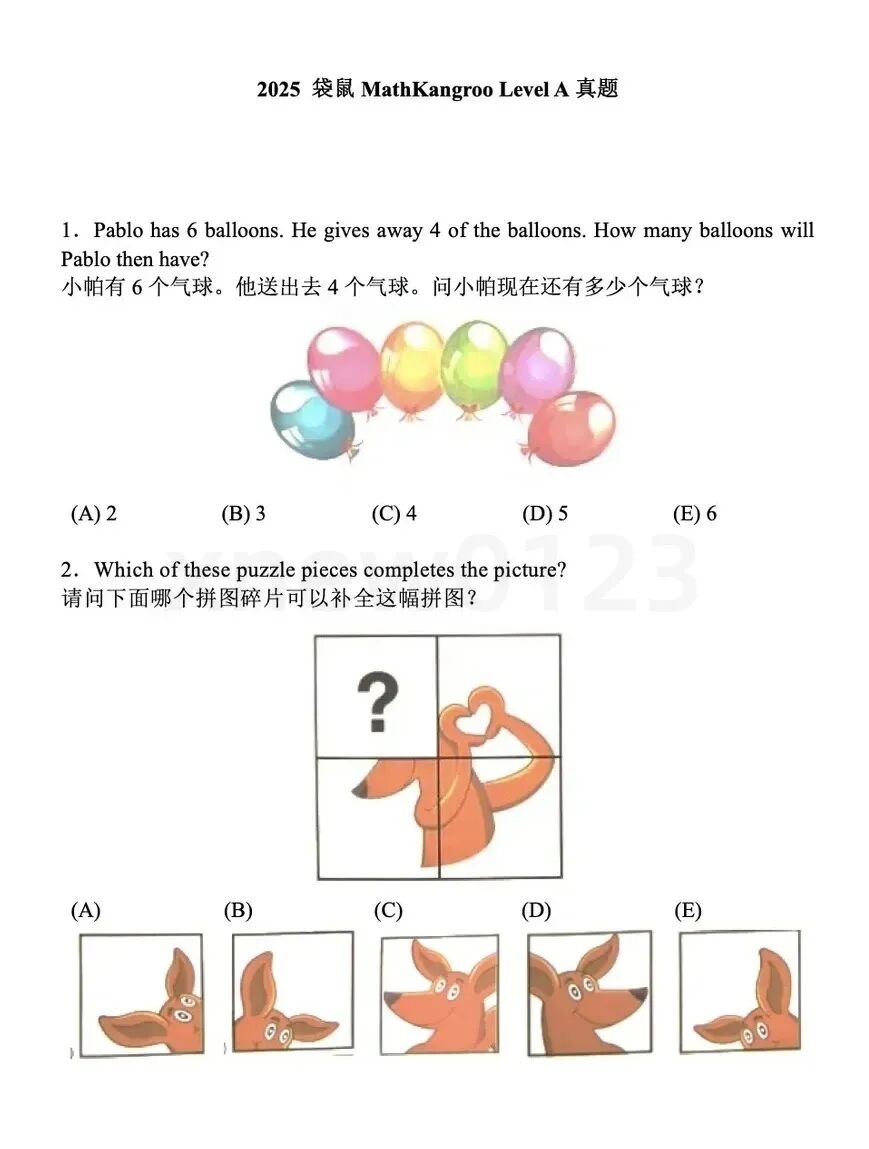 袋鼠数学竞赛历年真题资料册内页展示