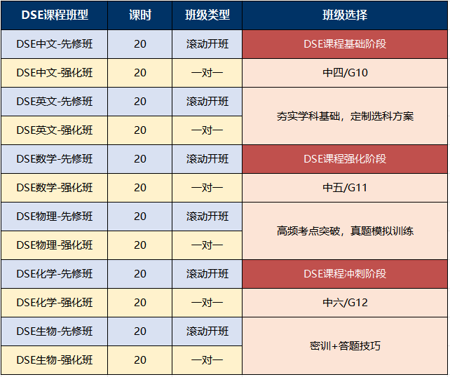 犀牛DSE课程班型与课时表:中文/英文/数学/物理/化学/生物,按基础/强化/冲刺三阶段