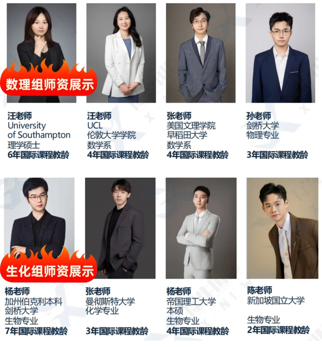 犀牛教育IB课程师资团队介绍,展示授课教师的毕业院校、教学科目与IB辅导经验