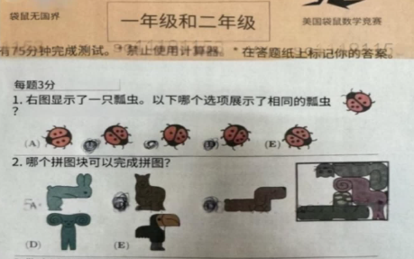 袋鼠数学竞赛