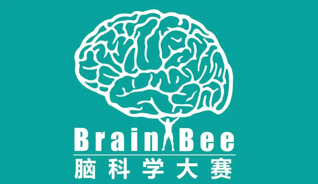 Brainbee脑科学竞赛辅导