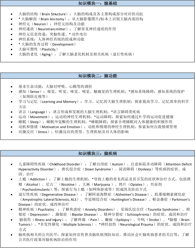 Brainbee竞赛培训