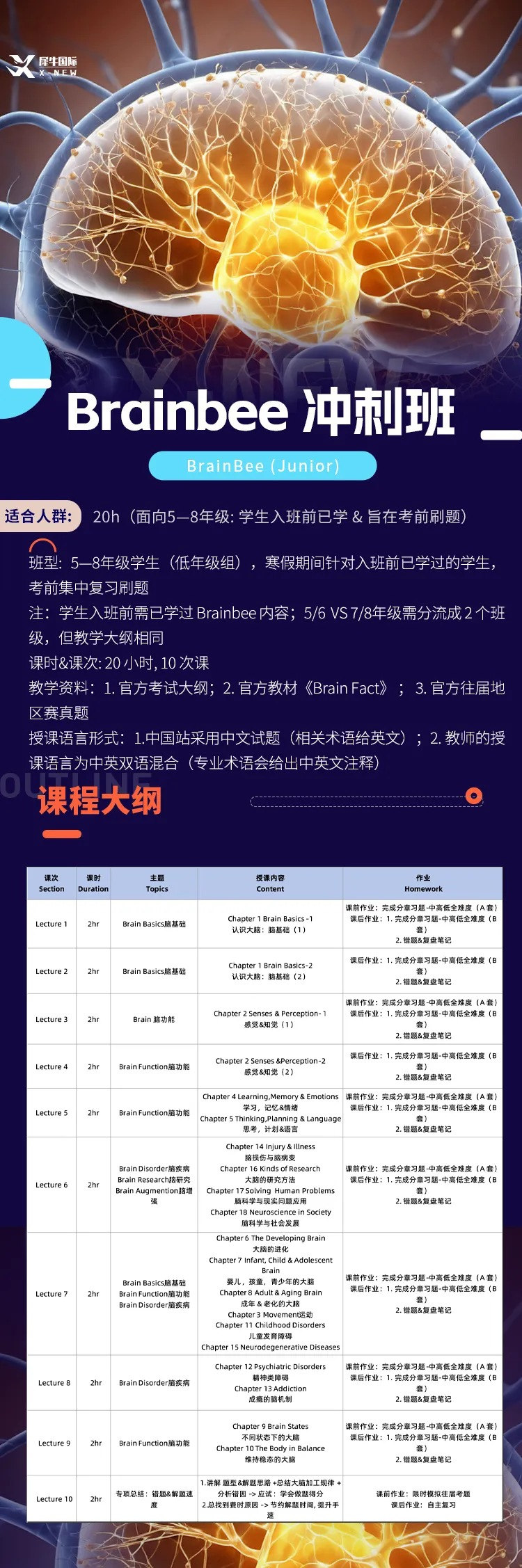 Brainbee竞赛培训