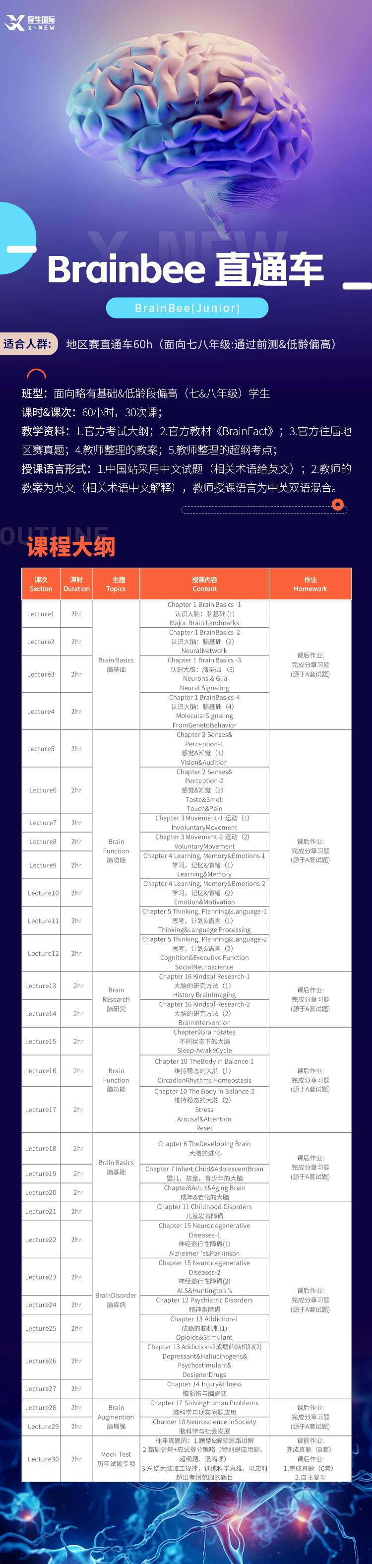 BrainBee培训