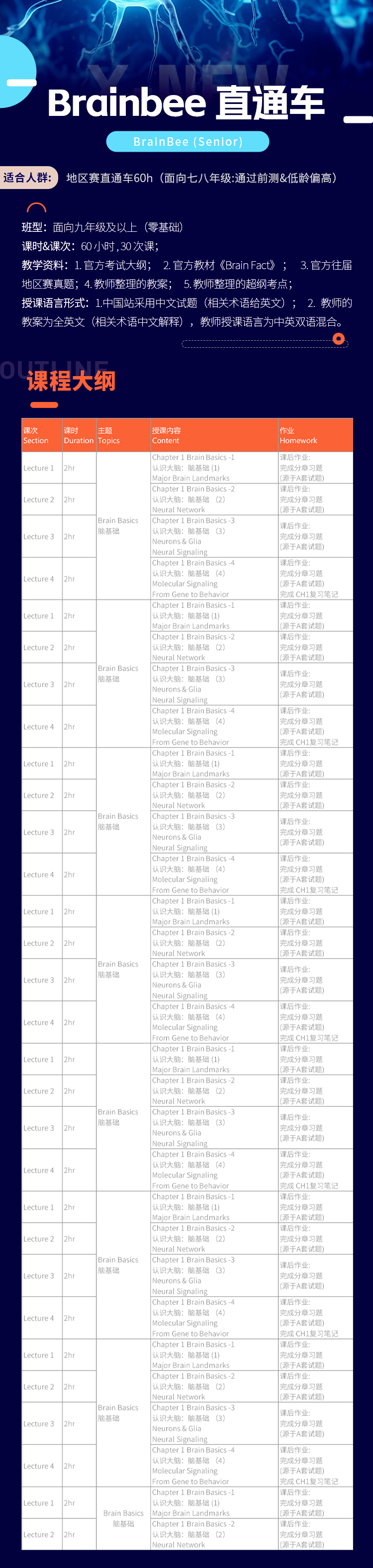 BrainBee培训