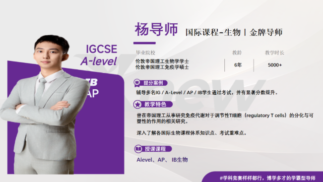 犀牛国际教育IB课程辅导