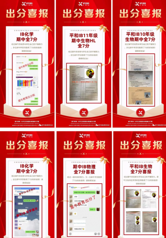 犀牛IB培训课程