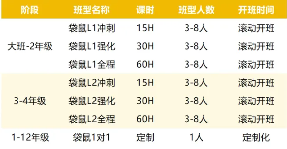 袋鼠数学竞赛真题