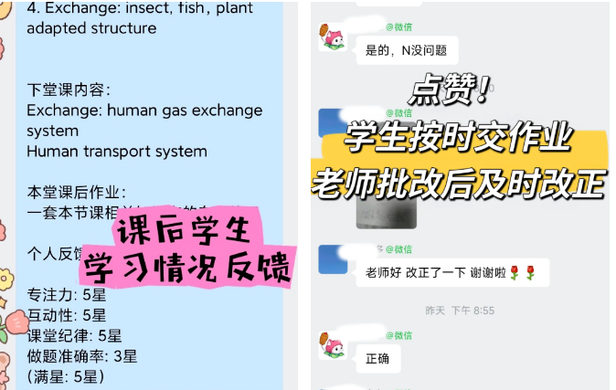 犀牛国际教育IGCSE暑期班