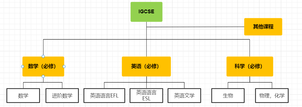 IGCSE选课