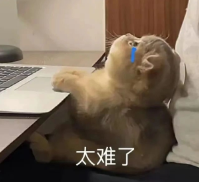 IGCSE培训先修班