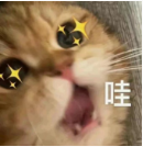 AMC8数学竞赛