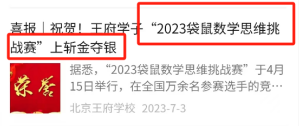 鼠数学竞赛