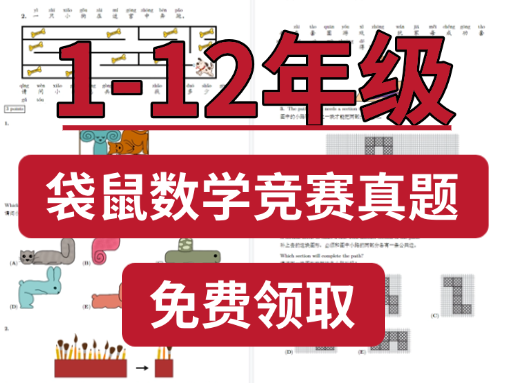 袋鼠数学竞赛
