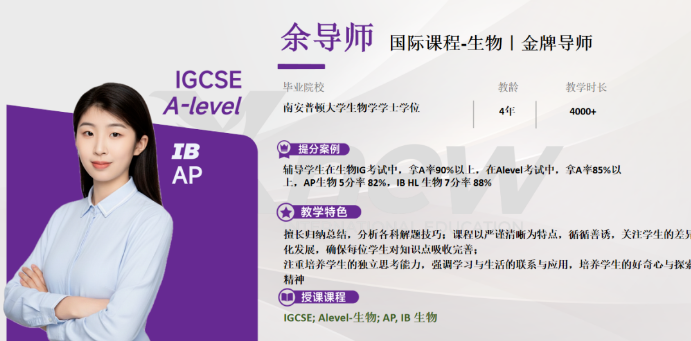 IGCSE课程辅导